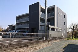 SJT HAMAKITA 203