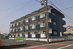 サンフラワーI 208