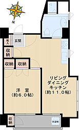 ハイライフ文京 5