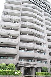 ライオンズガーデンヒルズ白山 101