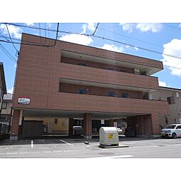 コンフリーII 305