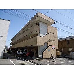 コンフリーIII 202