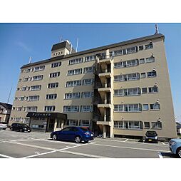 チェリーハイツ 202