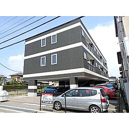 ＡＥＲＡＳ（アエラス） 305