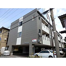 Treize（トレイズ） 310