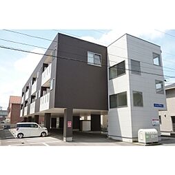 ドリーム・アイビー 207