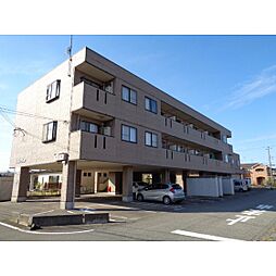 スターブルプラム 203