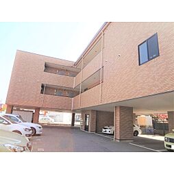 Ｄ・ＦＯＲＥＳＴ 210