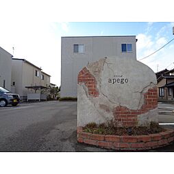 アペーゴ（apego） 305