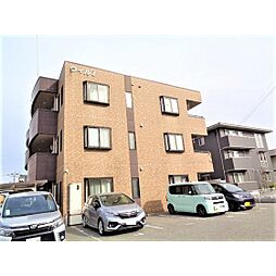 ウィルI 203