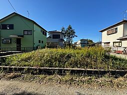 千葉県山武郡九十九里西野土地