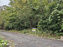 船井郡京丹波町富田蒲生野の土地