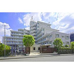ロイヤルキャステージ恋ヶ窪 501