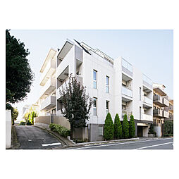 コンフォリア市谷薬王寺 203