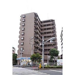 サンフラワー第6 0309