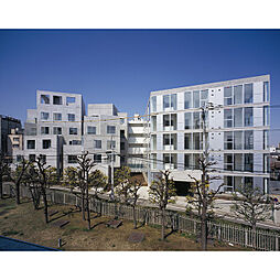 Ｔｒｅｆｏｒｍ 101