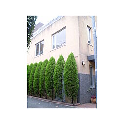 ＮＡＳマンション 0202