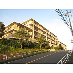 エル・パティオ 346