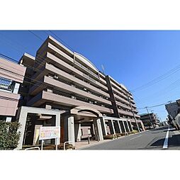 クリサンテーム妙典II 601