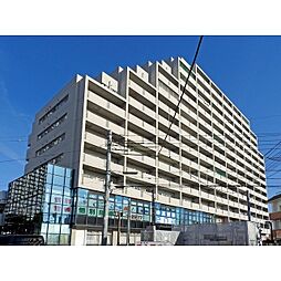 グランドール武戸野 1302