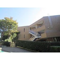 テラス岡本Ａ棟 505