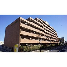 クリサンテーム妙典 502