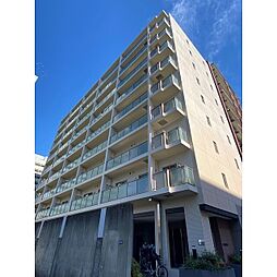 Ｂｌａｎｃｅ　ＳＨＩＢＡＵＲＡ 803
