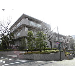 パークハウス上野毛 205