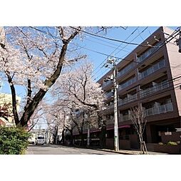 コンフォリアたまプラーザ 208