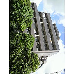 ベルジュヴァーン 504