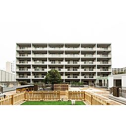 コンフォリア高島平 1-701