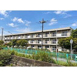 テレパレス稲毛海岸パークサイド　1号棟 303