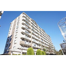 コーポレート中央林間1号棟 103