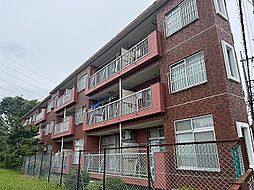 ビッグ武蔵野東大和パート2 307