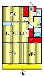 アルタオオタキ