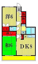 ボストンハイツ