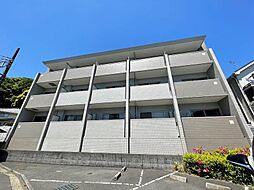 プランシード 305