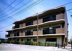 クライン　デァ・ベルク　II 203