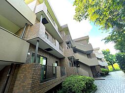 ヒルハイツ妙蓮寺