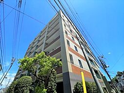 ヴィルヌーブ 509