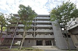 グレイスヒルズ葛ケ谷 104