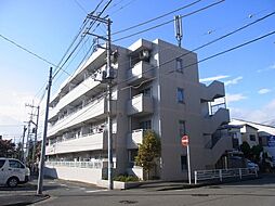 シティーコート矢向 101
