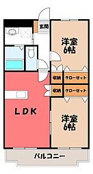K&M555
