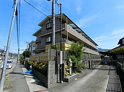 ウィステリア壱番館 102