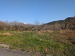 南部町三崎　104坪
