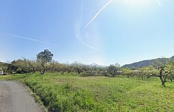 南部町三崎　104坪