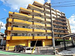 サンライフ白山