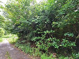勝山黒田土地
