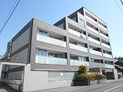 フィールド川和