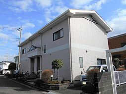 チェリーブロッサム